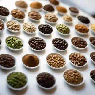 Coffee Bean Varieties Exploring Global Flavors and Types