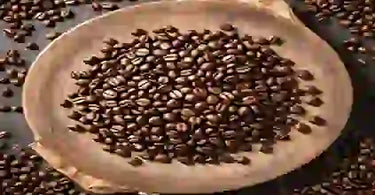Coffee Beans or Seeds?