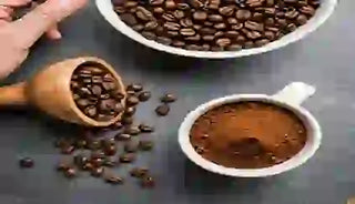 Comparing Coffee Beans or Grounds for Odor