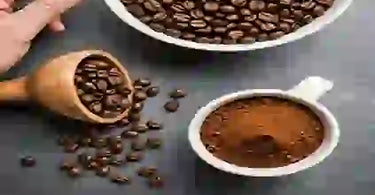 Comparing Coffee Beans or Grounds for Odor