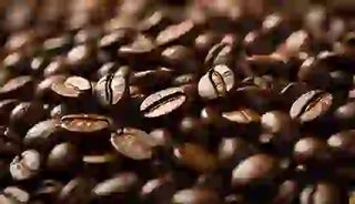 Comparing Coffee Beans or Roasted Coffee Beans