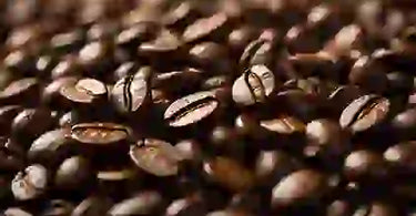 Comparing Coffee Beans or Roasted Coffee Beans