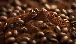 Do Coffee Beans Attract Bugs?
