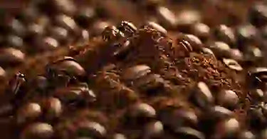 Do Coffee Beans Attract Bugs?