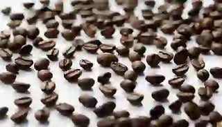 Is it safe to eat coffee beans?