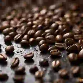 What is Low Quality Coffee Beans? 333x333