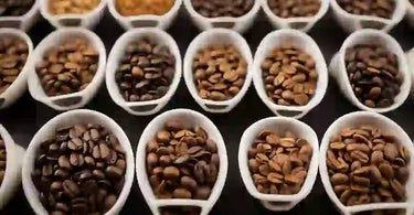 What is the Very Best Coffee Beans?