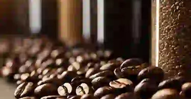 Which Coffee Beans Are the Highest Quality?