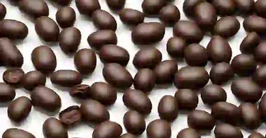 Which Coffee Beans Have a Chocolate Taste?